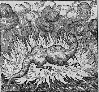 Atalanta Fugiens, Emblem XXIX