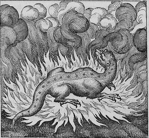 Atalanta Fugiens, Emblem XXIX